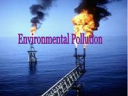 Environmental Pollution