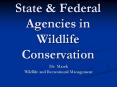State & Federal Agencies in Wildlife Conservation PowerPoint PPT Presentation