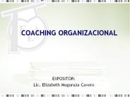 COACHING ORGANIZACIONAL
