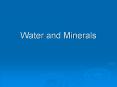 Water and Minerals PowerPoint PPT Presentation