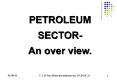 PETROLEUM SECTOR PowerPoint PPT Presentation