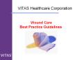 Wound Care Best Practice Guidelines PowerPoint PPT Presentation