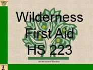 Wilderness