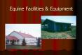 Equine Facilities & Equipment PowerPoint PPT Presentation