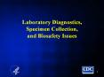 Laboratory Diagnostics, Specimen Collection, and Biosafety Issues PowerPoint PPT Presentation