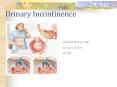 Urinary Incontinence PowerPoint PPT Presentation