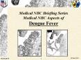 Medical NBC Briefing Series Medical NBC Aspects of Dengue Fever PowerPoint PPT Presentation