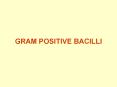 GRAM POSITIVE BACILLI PowerPoint PPT Presentation