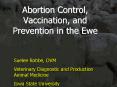 Abortion Control, Vaccination, and Prevention in the Ewe PowerPoint PPT Presentation