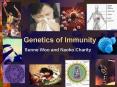 Genetics of Immunity PowerPoint PPT Presentation