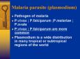 Malaria parasite (plasmodium) PowerPoint PPT Presentation