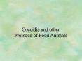 Coccidia and other Protozoa of Food Animals PowerPoint PPT Presentation