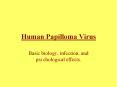 Human Papilloma Virus PowerPoint PPT Presentation