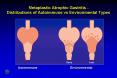Metaplastic Atrophic Gastritis - Distribution of Autoimmune Vs Environmental Types PowerPoint PPT Presentation