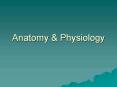 Anatomy & Physiology PowerPoint PPT Presentation
