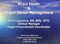 Brain Death PowerPoint PPT Presentation