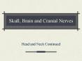 Skull, Brain and Cranial Nerves PowerPoint PPT Presentation
