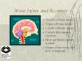 Brain Injury and Recovery PowerPoint PPT Presentation