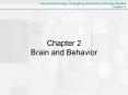 Chapter 2 Brain and Behavior PowerPoint PPT Presentation