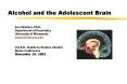 Alcohol and the Adolescent Brain PowerPoint PPT Presentation