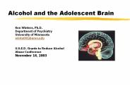 Alcohol and the Adolescent Brain
