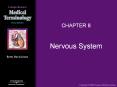 Nervous System PowerPoint PPT Presentation