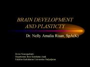 BRAIN DEVELOPMENT AND PLASTICTY