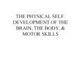 THE PHYSICAL SELF: DEVELOPMENT OF THE BRAIN, THE BODY, & MOTOR SKILLS PowerPoint PPT Presentation