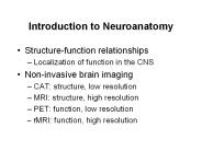Introduction to Neuroanatomy