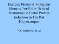 Exercise Primes A Molecular Memory For Brain-Derived Neurotrophic Factor Protein Induction In The Rat Hippocampus PowerPoint PPT Presentation