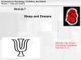 Module 7 Sleep and Dreams Stillwater High School Psychology PowerPoint PPT Presentation