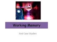 Working Memory