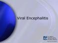 Viral Encephalitis PowerPoint PPT Presentation