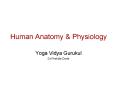 Human Anatomy & Physiology Yoga Vidya Gurukul Dr.Prafulla PowerPoint PPT Presentation