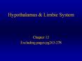 Hypothalamus & Limbic System PowerPoint PPT Presentation