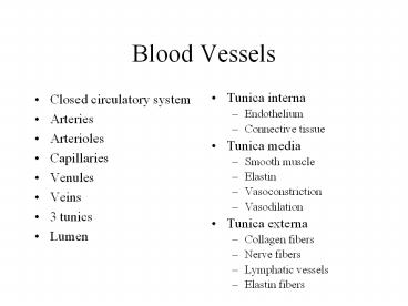Blood Vessels