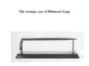 The strange case of Phineous Gage
