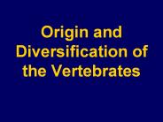 Origin and Diversification of the Vertebrates