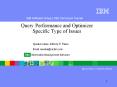 Query Performance and Optimizer Specific Type of Issues PowerPoint PPT Presentation