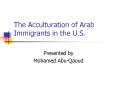 The Acculturation of Arab Immigrants in the U.S. PowerPoint PPT Presentation
