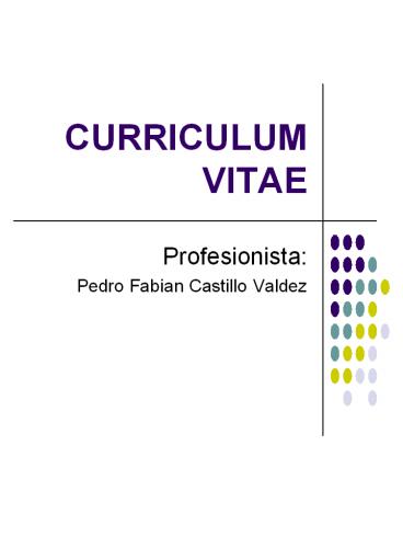 CURRICULUM VITAE