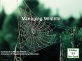 Managing Wildlife PowerPoint PPT Presentation