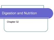 Digestion and Nutrition
