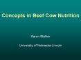 Concepts in Beef Cow Nutrition PowerPoint PPT Presentation