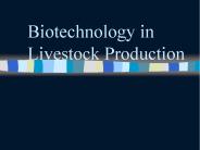 Biotechnology in Livestock Production