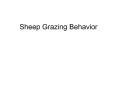 Sheep Grazing Behavior * * * * Sheep Fencing PowerPoint PPT Presentation
