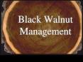 Black walnut is one of the Midwest's most valuable trees for wood products. Often called black gold, walnut also produces edible nuts and wildlife food while contributing to biological diversity. This program describes how to grow and manage black walnut PowerPoint PPT Presentation
