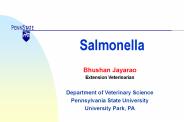 Salmonella