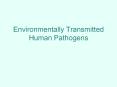 Environmentally Transmitted Human Pathogens PowerPoint PPT Presentation