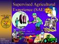 Supervised Agricultural Experience (SAE) PowerPoint PPT Presentation